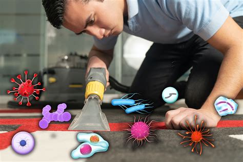 Unveiling the Hidden Dangers Hiding in Your Carpets