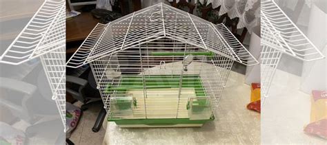 Клетка для волнистого попугая купить в Москве | Животные и зоотовары ...