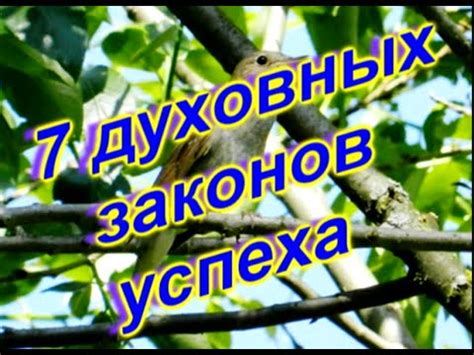 Дипак Чопра. 7 духовных законов успеха - YouTube
