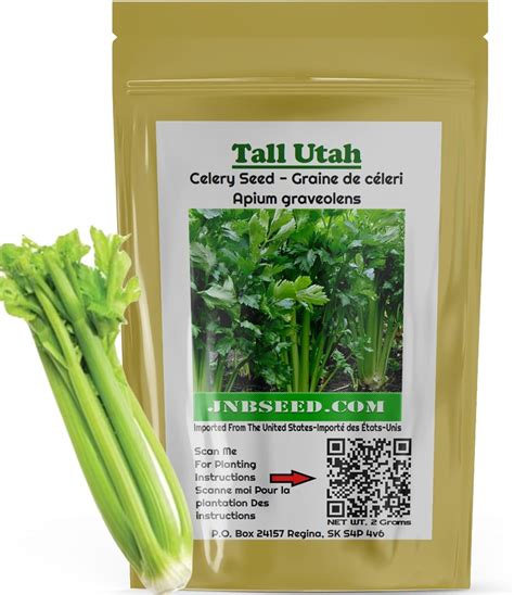 Celery Seeds Tall Utah Seeds Jnb Seed