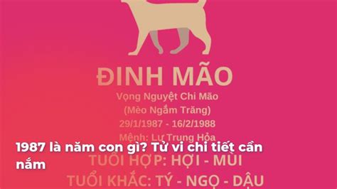 1001 Ảnh Gái xinh mặc bikini Thả Mình Vào Sóng Biển Với Phong Cách Bikini Nóng Bỏng