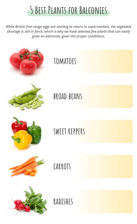 More and more Brits are asking me how to grow vegetables on their