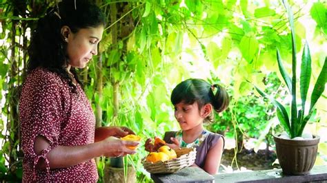 Golden Egg Fruit Dishes 🥘🍑 For Devine And Healthy Lunchegg Fruit Dhal