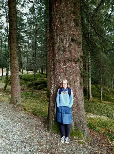 Norwegian Spruce In Norway Frenchay Christmas Tree Farm