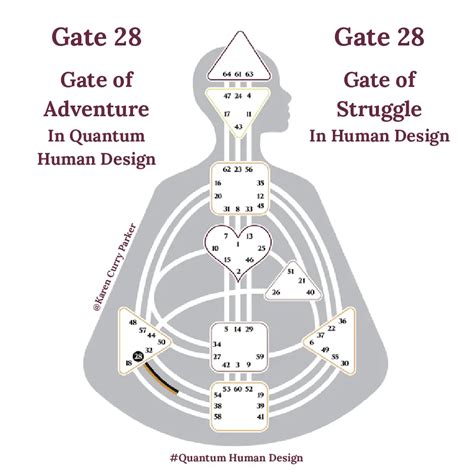 human design gate  explained