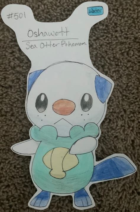 0501 Oshawott Sea Otter Pokemon By Marshmellocorn On Deviantart