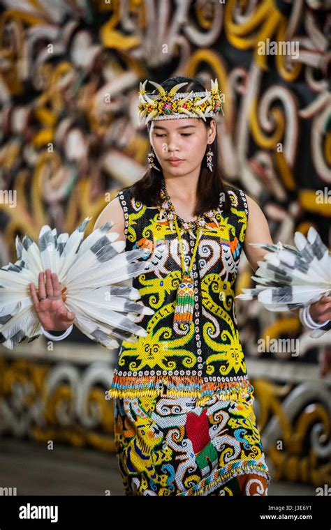 Beautiful Dayak Kenyah Girl Performing Enggang Bird Dance In Tribal