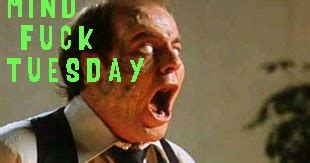 Mind Fuck Tuesday Alpha Brain Waves Key To Encounters