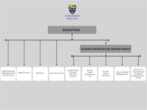 Hoa Organization Chart Hot Sex Picture