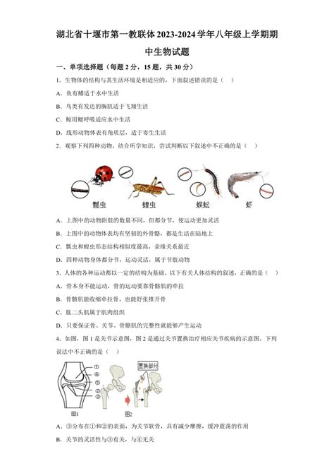 湖北省十堰市第一教联体2023 2024学年八年级上学期期中生物试题（含解析） 21世纪教育网