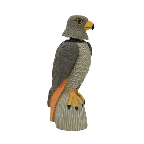 Bobble Head Eagle | Jack