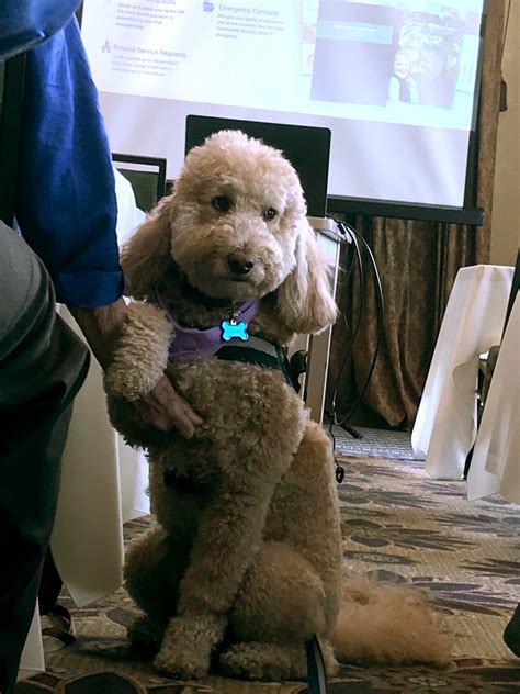 Baue Funeral Homes, Crematory, and Memorial Gardens - Home | Facebook