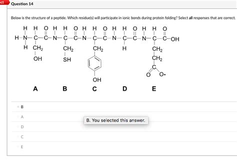 Solved Question 14 Below is the structure of a peptide. | Chegg.com