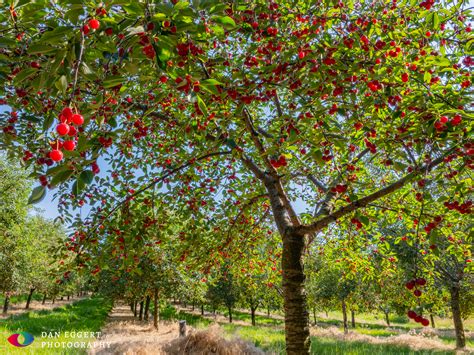 Rare racine journal times obituary archives reveal city founding secrets 7