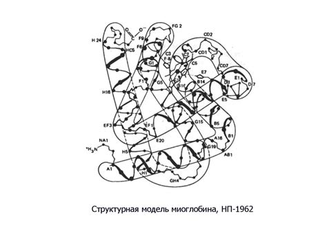Молекулярная биология - презентация онлайн