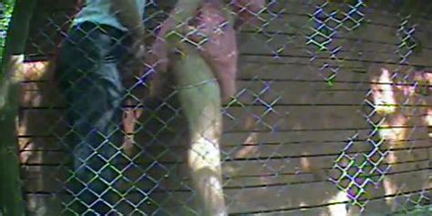 Sex La Nunta Tnaflix