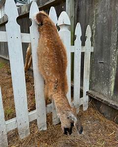 Ratemyprofessor My Class Was A Cult The Professors Disturbing Control