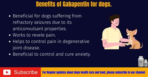 Gabapentin For Dogs-Dosage Chart-How to Use?
