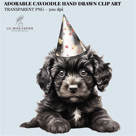 Cavoodle Clipart Hand Drawn Party Animals Transparent Png Graphics
