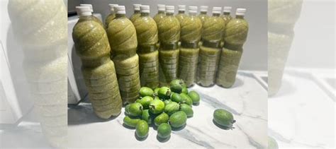 Фейхоа с сахаром купить в Сочи | Товары для дома и дачи | Авито