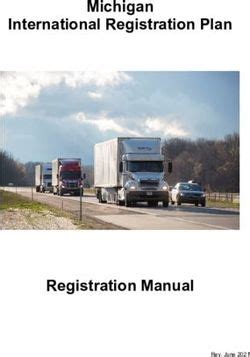 Michigan International Registration Plan - Registration Manual Rev ...