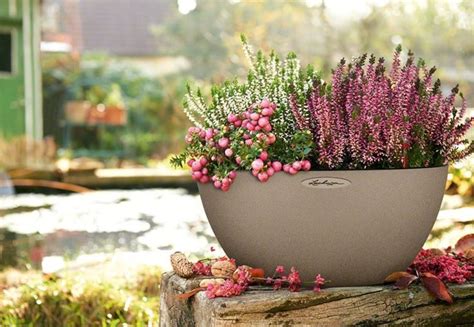Lechuza Pflanzgefäß CUBETO Stone 40 - Bloomling Deutschland