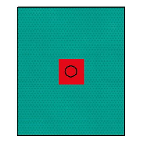 RAUCODRAPE N Lochtuch 75x90cm 2lagig sk. 40 St - Medipolis Intensivshop