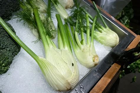 What Does Fennel Taste Like How To Prepare Store Use It