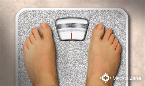 Treating Obesity with Medical Marijuana