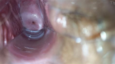 Free HD Pulsating Orgasm Inside Pussy Porn Video