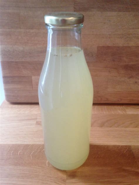 Water Kefir - The Ultimate Guide + 6 Free Recipes