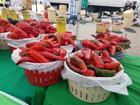 Farmers Market In Toronto Editorial Image Image Of Fruits 199524685