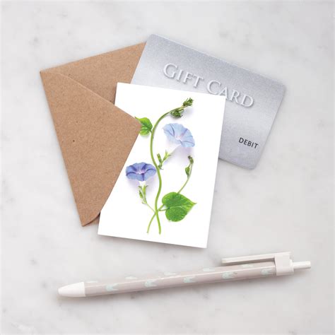 Mini Card Morning Glory Bottlebranch