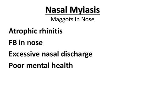 Nasal Myiasis