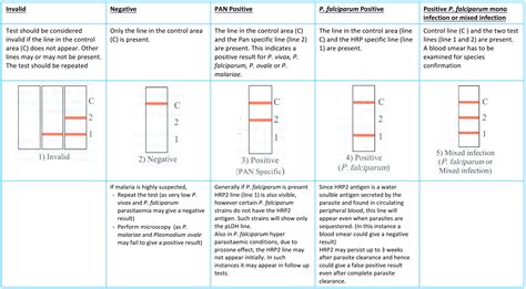 Главное, что нужно знать о малярии до отпуска | Travel Radar