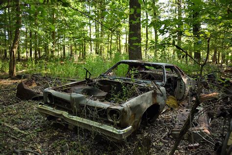 One Of Staten Islands Crucial Wetlands Is Threatened By Development