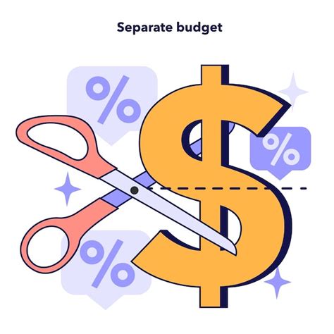 Contabilidad Separada De Los Ingresos Y Gastos Del Hogar Del