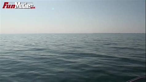 Fat Ass Granny Search XNXX