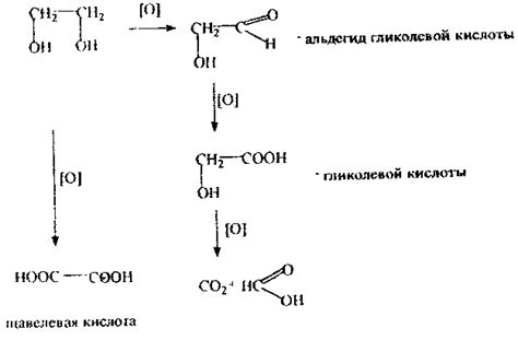 Оцтова кислота
