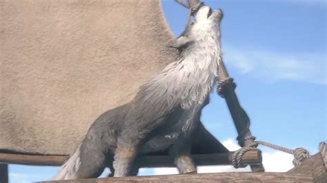 Final Fantasy 16 Torgal Is A Good Boy Who Deserves All The Treats