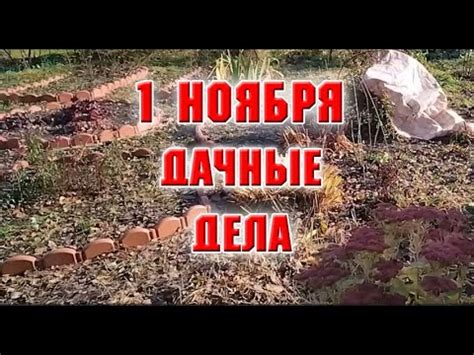 1 ноября. Дачные дела - YouTube