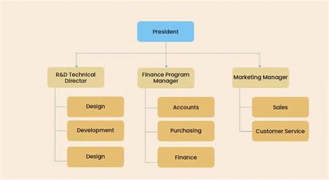 functional organizational structure advantages  disadvantages pm