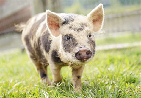 Define lackey to understand how power dynamics work in office life 19