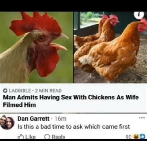 Min Man Admits Having Sex With Chickens As Wife Ladbible Filmed Him Dan Garrett Is This A Bad