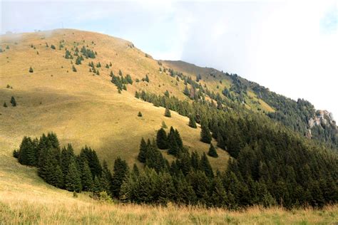 Dsc La Vetta Di Monte Pora The Summit Of Monte P