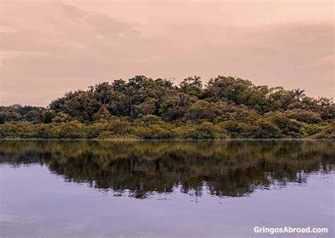 Ecuador Amazon: 8 Things to Know Before Visiting the Amazon Rainforest ...