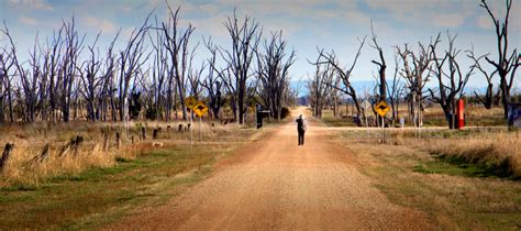 In The Wetlands 3 Artists Cooper Hollins Spowart Collaborate