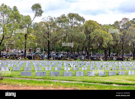 Rookwood Cemetery In Strathfield Sydney Australia Oldest And Largest