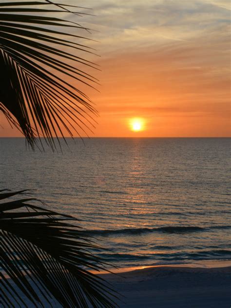 Best Places To Watch The Sunset On Siesta Key Best Western Plus