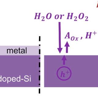 Schematics Illustrating The Possible Mechanism Of The Photoactivated